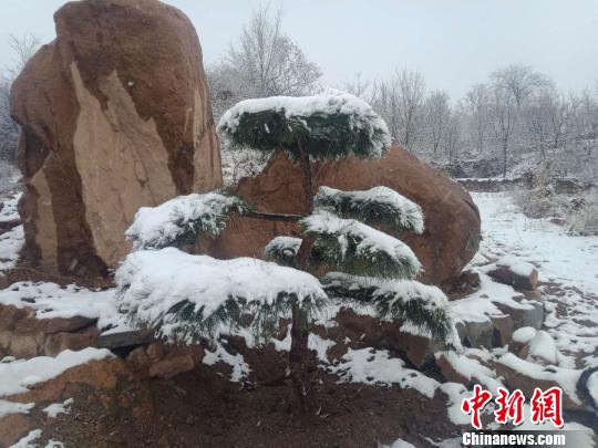 石家莊西部山區(qū)靈壽縣雪后美景。　張軍國 攝